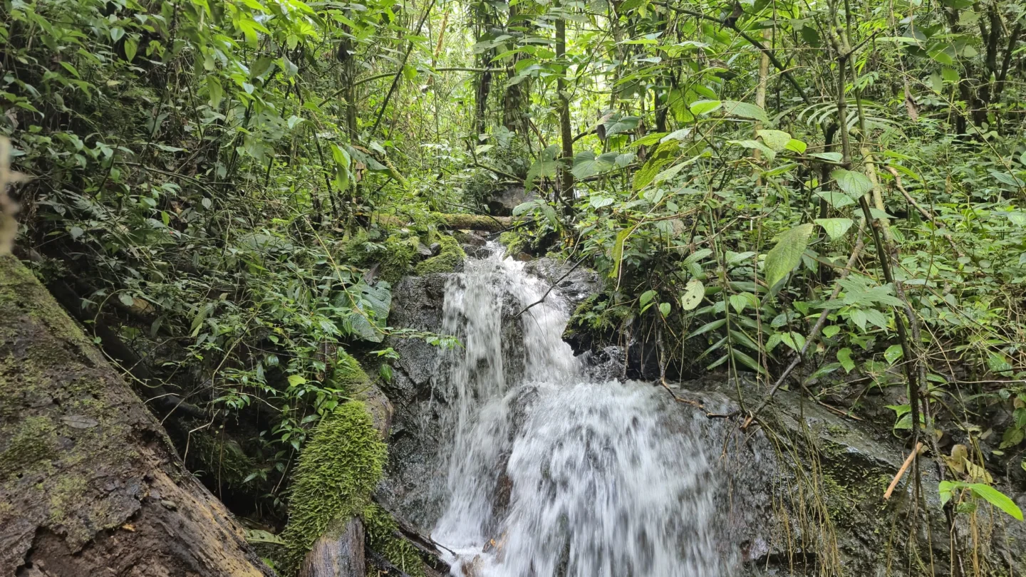 Cascada Senderismo Valle del Cauca
