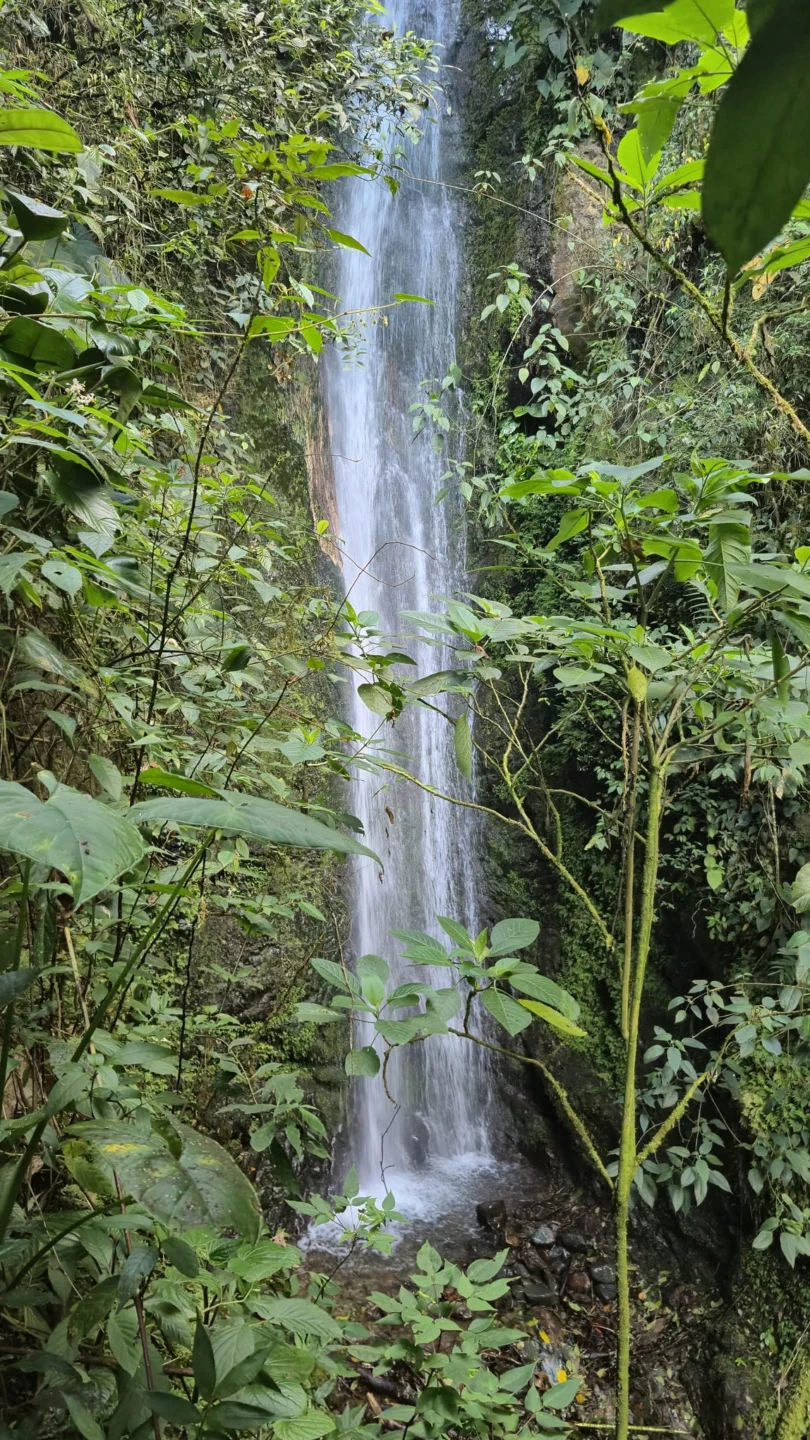 senderismo valle del cauca